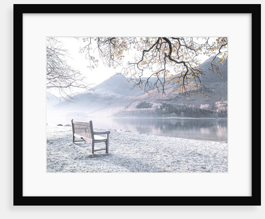 Bench by still lake by Assaf Frank